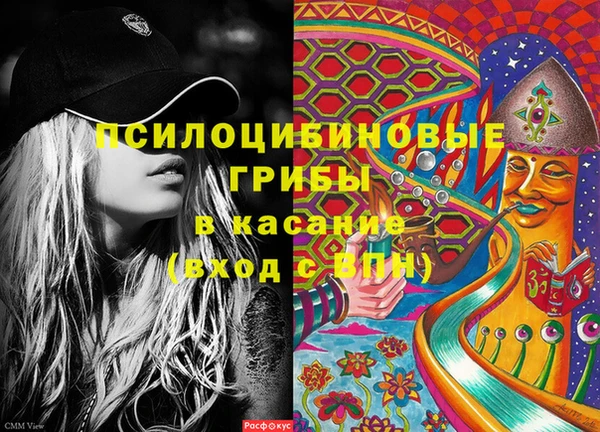 стафф Баксан