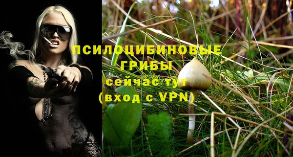 таблы Армянск